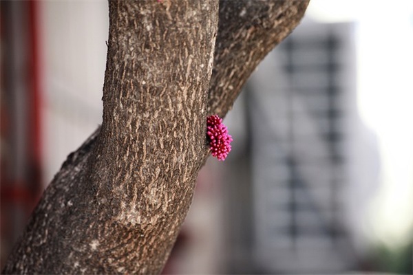 风险投资课程论文范例6篇