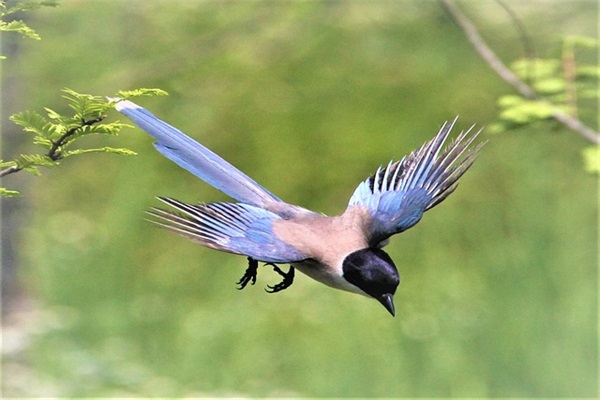 房地产经济论文范例6篇