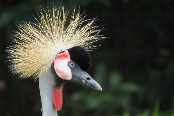 数字语言范例6篇