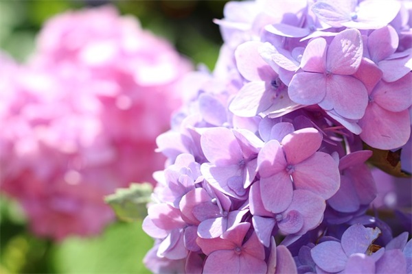 父亲节快乐英文范例6篇