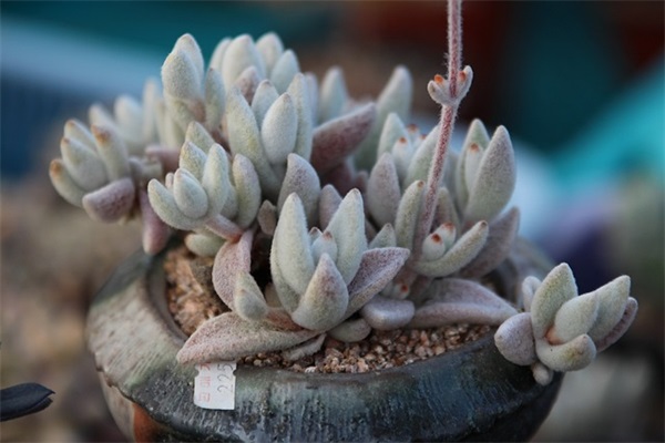 plc技术论文范例6篇