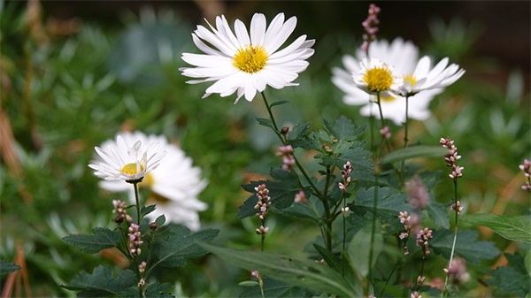 药事管理学论文范例6篇