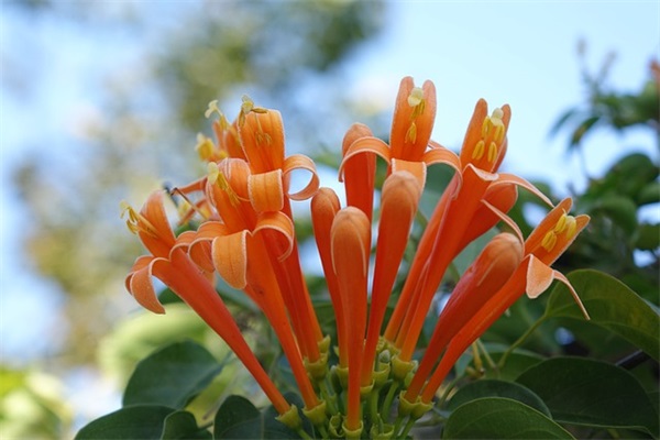 惩防体系建设工作总结