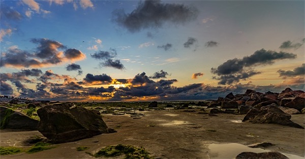 物流供应链管理论文