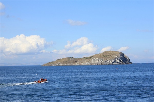 电子商务创业方案