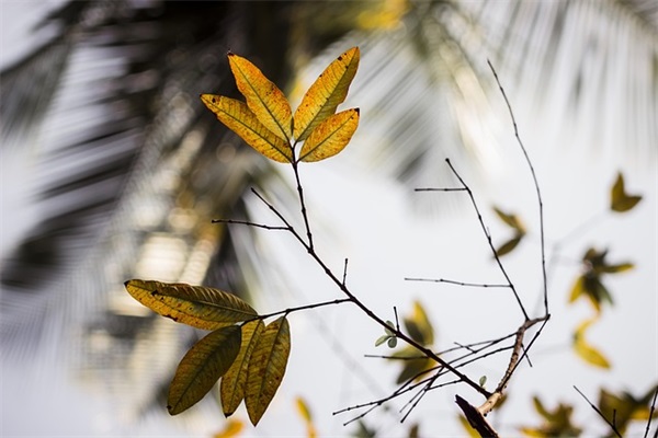 带木住的男生网名