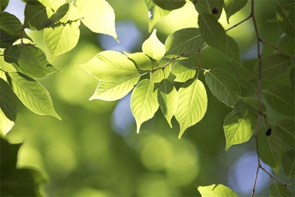 带星辰个性标签的网名男
