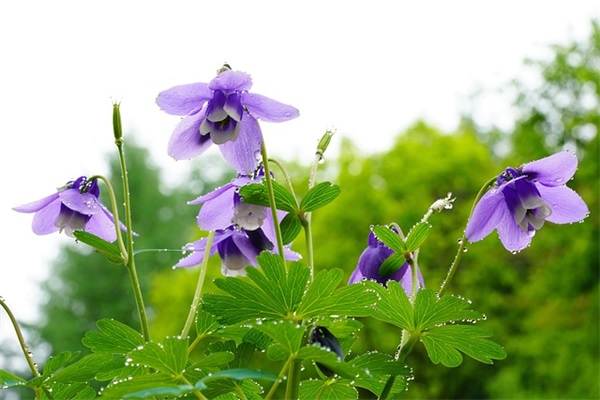 512国际护士节文案句子 护士节文案短句