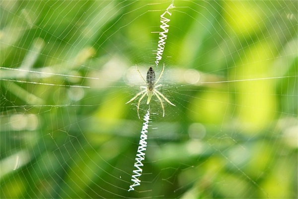 文案句子温柔干净励志(文案句子温柔干净长篇)