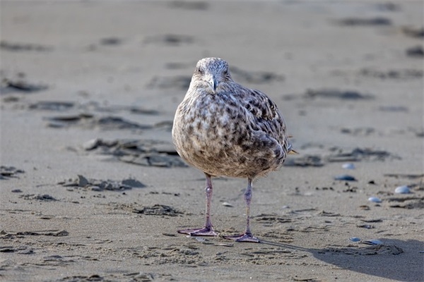 倒霉起来励志句子