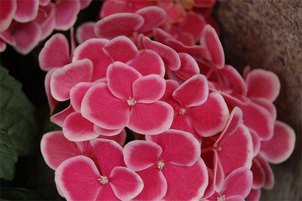 2025年二十四节气清明句子文案 新年文案句子