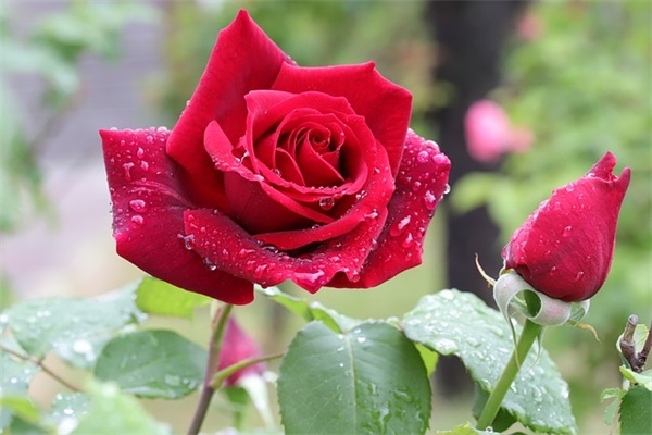 给闺蜜留言的霸气句子简短