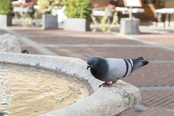 受伤文案句子(表示感情受伤的文案)