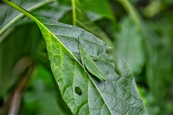 最近超火的高级网名(精选191个)
