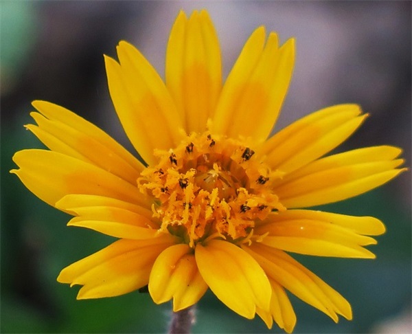 适合你所有情绪的短句子 关于情绪的句子