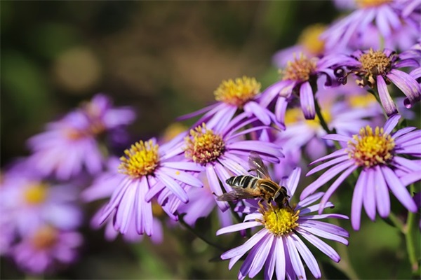 英语励志句子大全160句