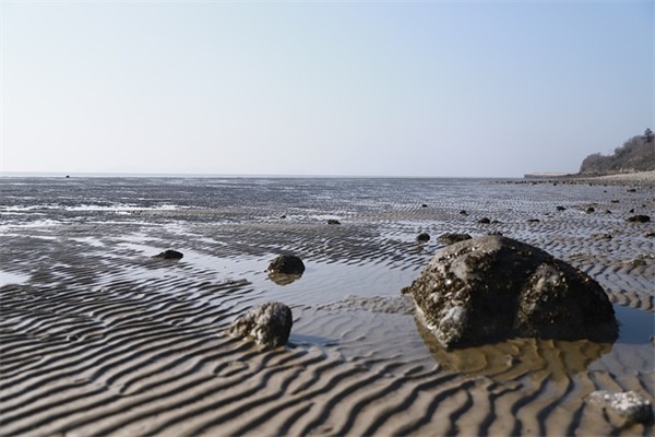 表达爱你的句子 表达一直爱你的句子