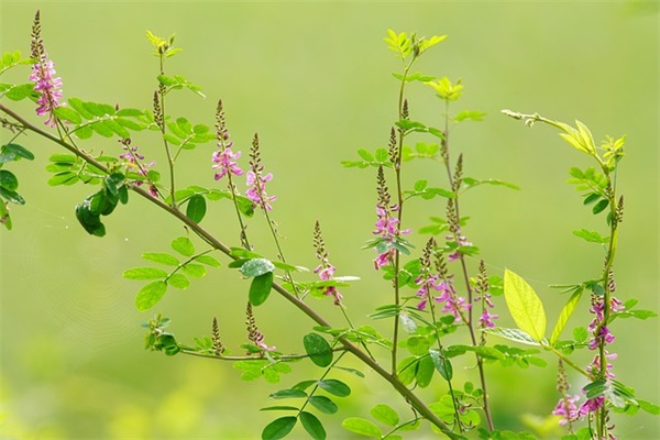关于天气晴朗的句子