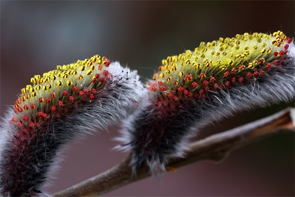 世界上最优美的句子