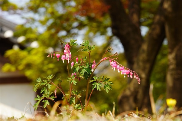 形容“被人利用,用完就不要,不理睬”的句子有哪些？