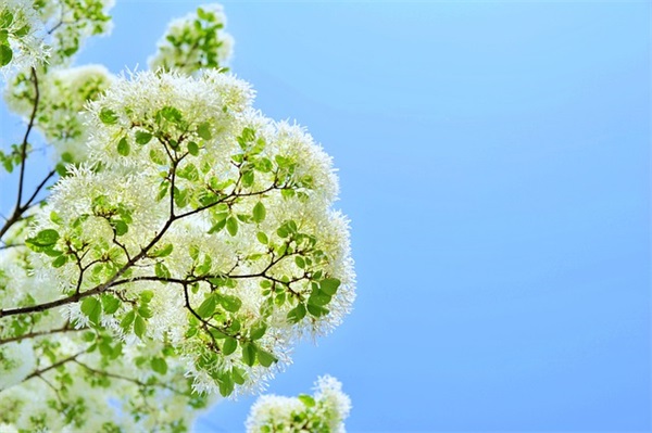 有关爱情信任的句子