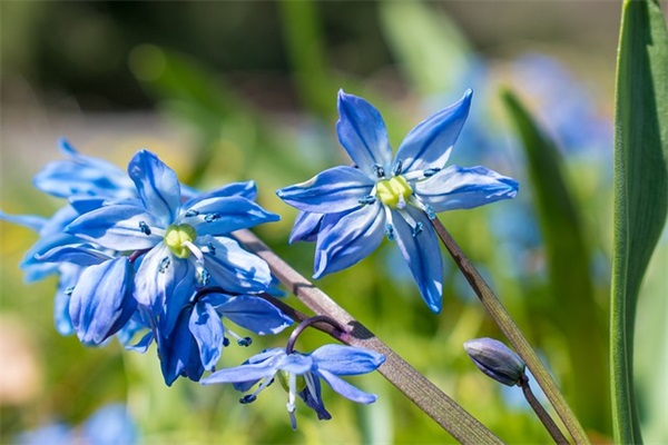 摘抄简短优美句子