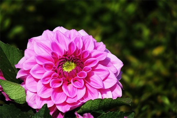 qq留言板留言句子