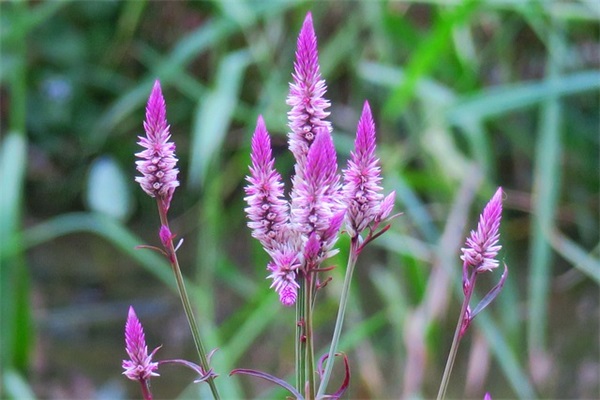 2025高考励志文案句子 高考励志文案100字