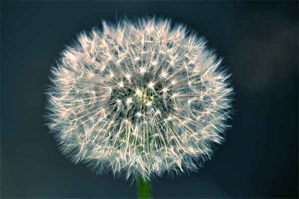 伤感性句子96句