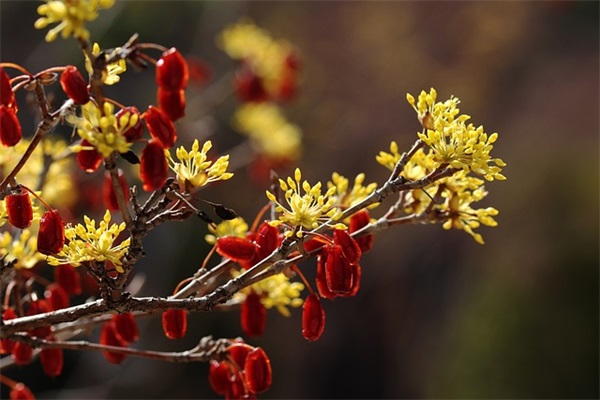 关于暖心的句子