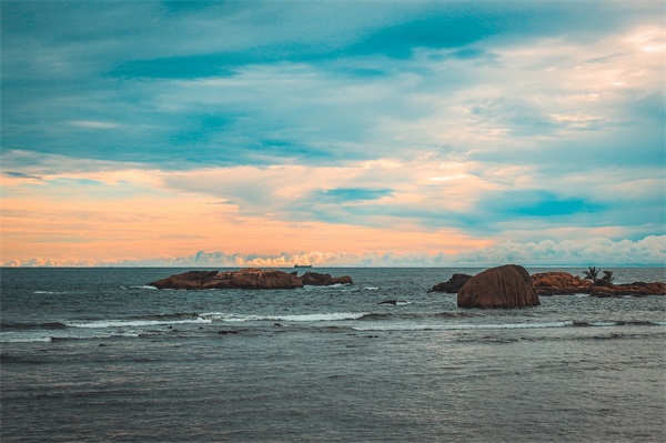 有关感悟青春的句子 有关青春的优美语句