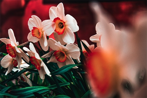 激励正能量的早安心语 早上励志的句子