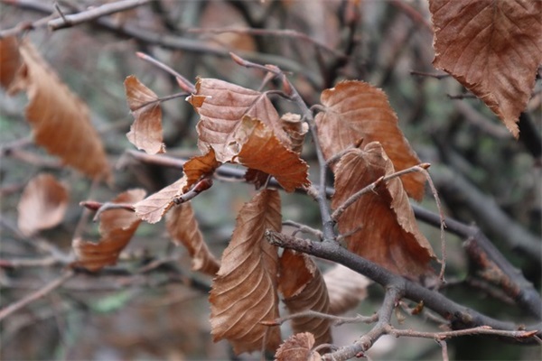 海誓山盟的爱情句子