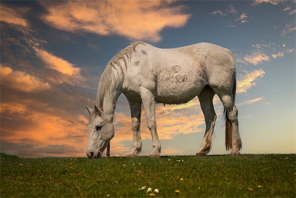 离开文案句子(伤感离开文案句子)