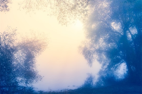 形容青春美好的句子 2025年对青春的赞美的句子