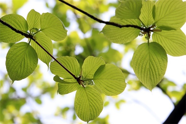 爱情里过于卑微的伤感句子短句(很有内涵的伤感句子短句)