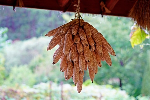 描写雨的优美句子 描写雨景的句子