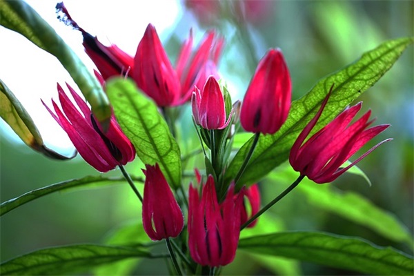 因为思虑过多的句子 所以我们常常把人生复杂化了文案