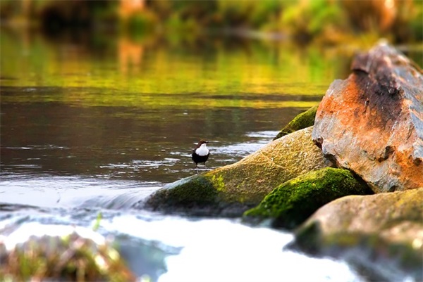 青春励志唯美句子摘抄简短39句