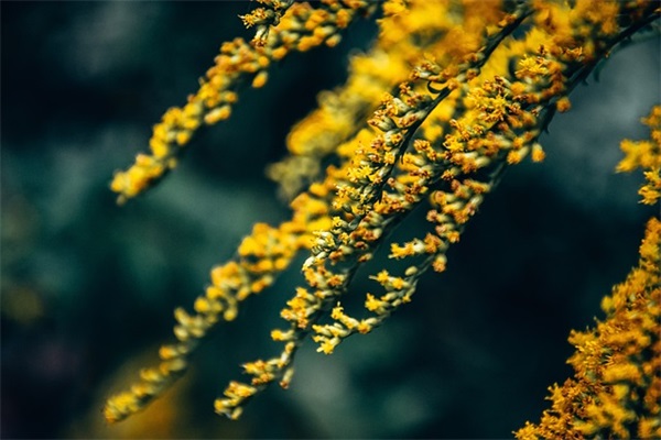 早安励志语录简短句子分享62条