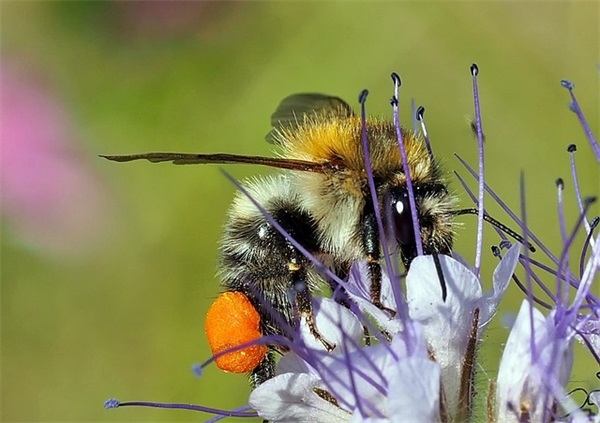 形容虚伪的人的句子63句