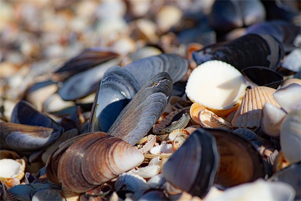心酸的句子精选65条