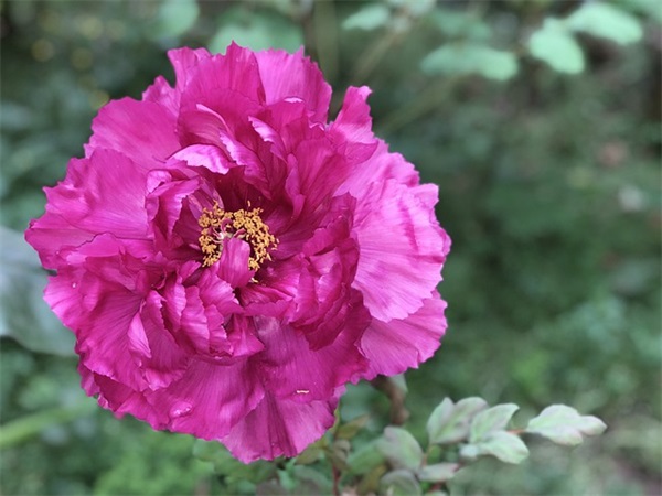 值得读者赏析的三国演义中的经典句子汇总60条