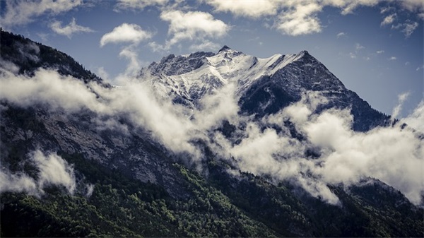 田园风光的句子(摘录46句)