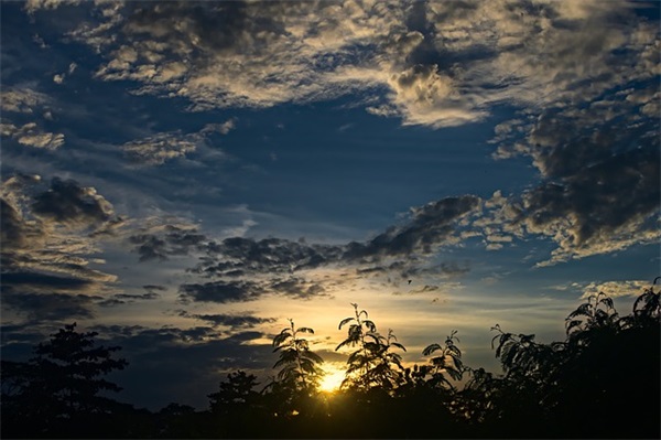 深夜睡不着感慨的经典句子