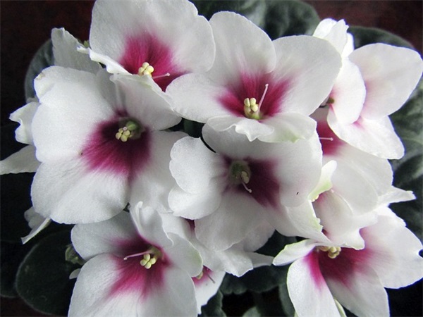 形容早起的幽默句子简短精选