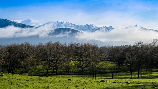 很暖心很有爱的句子