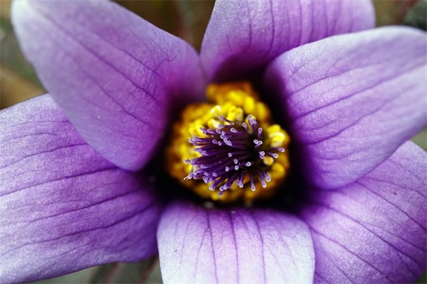 矫情的句子合集