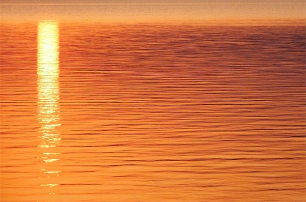 表达父爱如山的感人句子合集30句