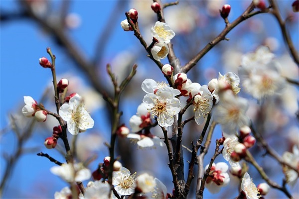 发朋友圈睡不着的句子64句